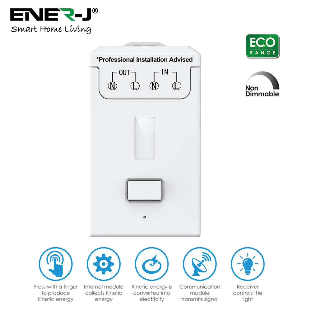 Ener-J Non Dimmable 500W RF Receiver WS1055